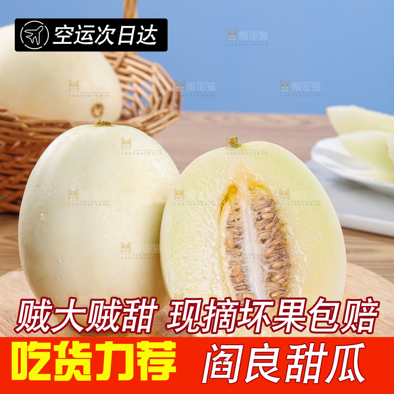 木底上的阎良甜瓜