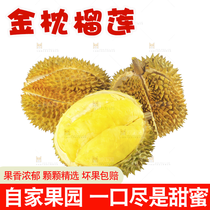 白底上的金枕榴莲