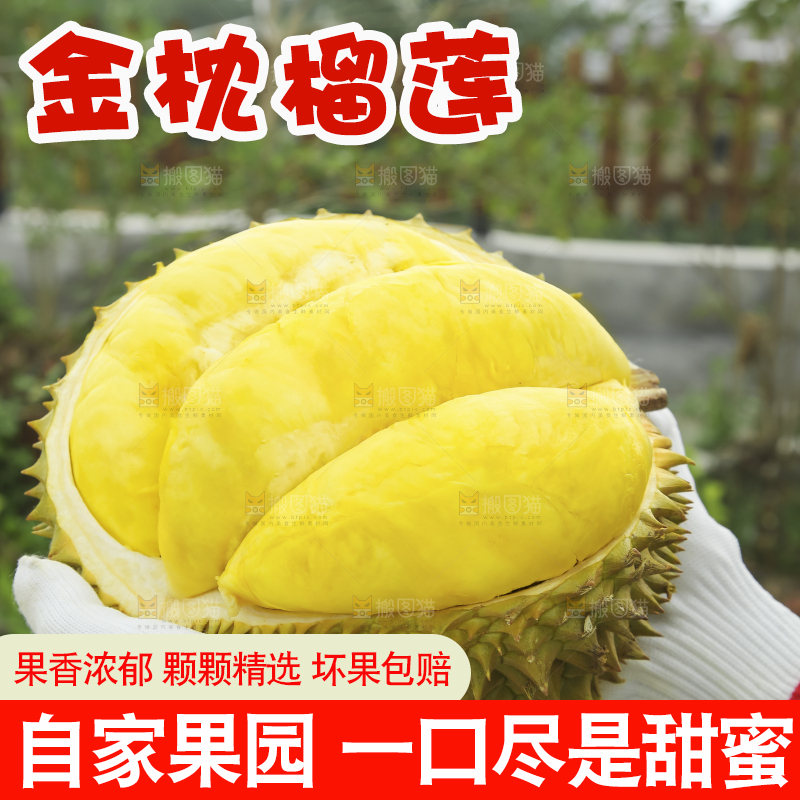 手里拿着金枕榴莲