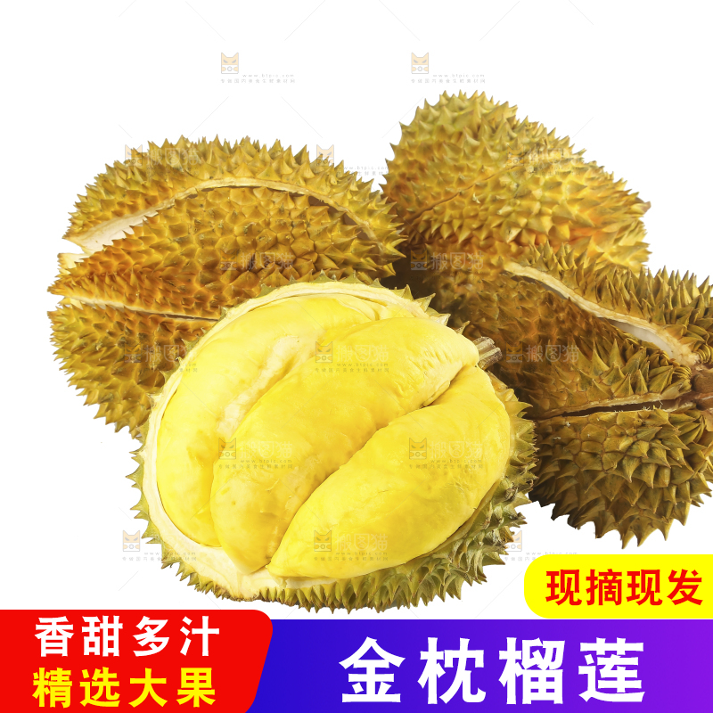 白底上的金枕榴莲