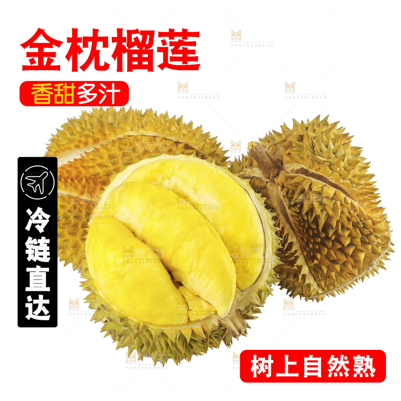 白底上的金枕榴莲