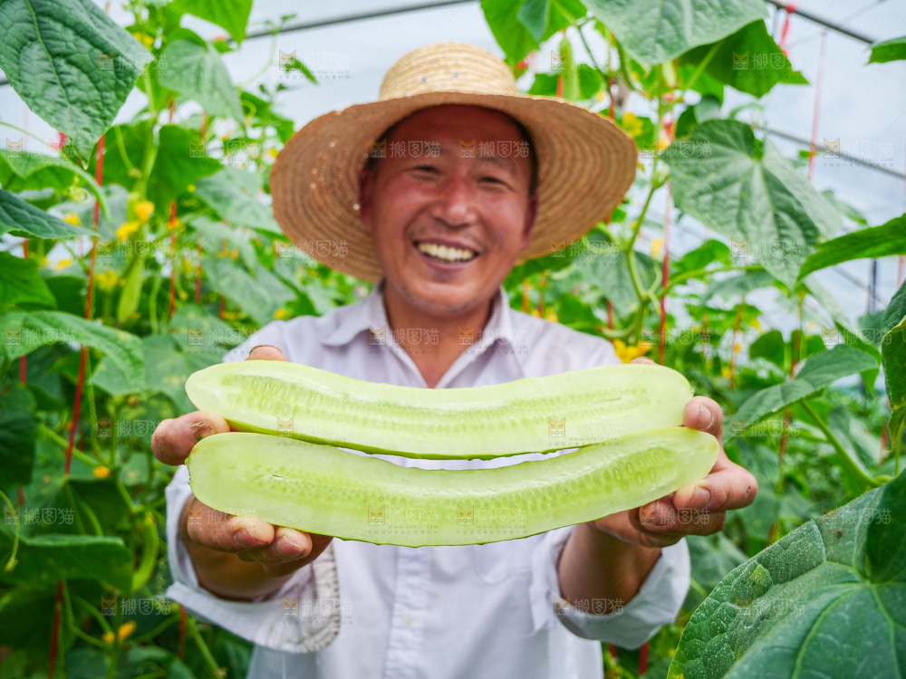 手里拿着白玉黄瓜