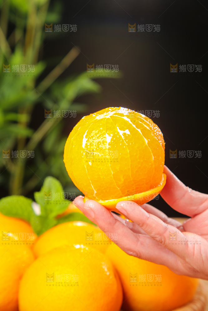 木底上的秭归夏橙