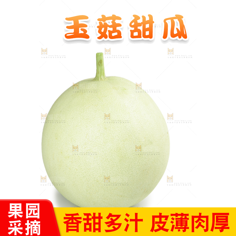 白底上的玉菇甜瓜