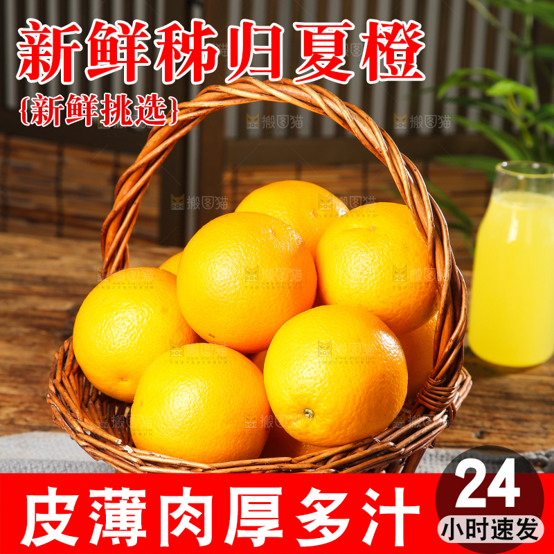 木底上的秭归夏橙