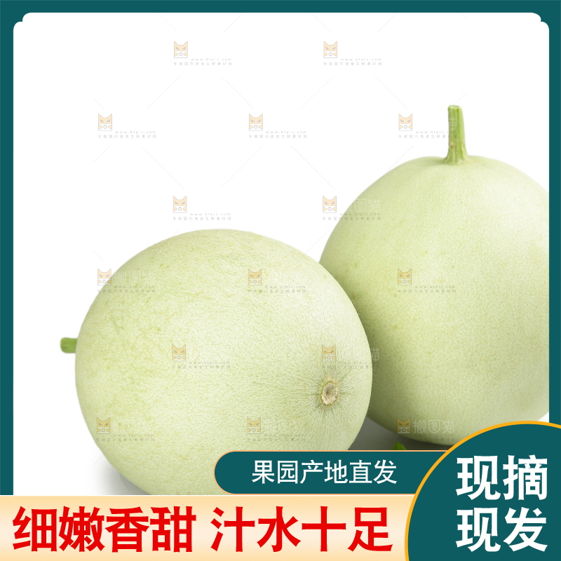 白底上的玉菇甜瓜