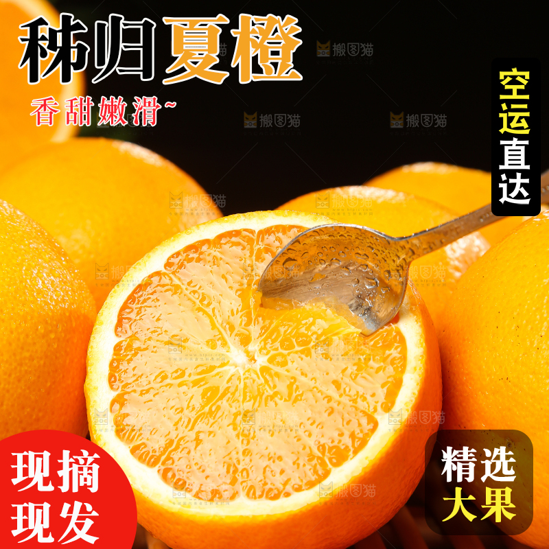 木底上的秭归夏橙