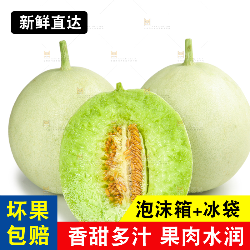 白底上的玉菇甜瓜