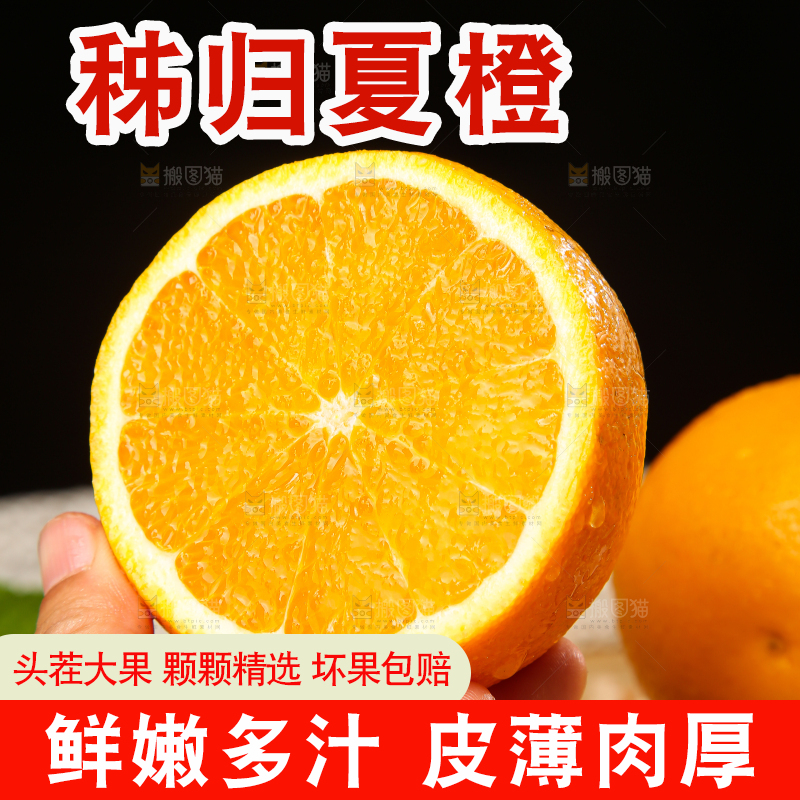 木底上的秭归夏橙