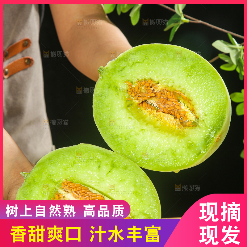 木底上的玉菇甜瓜