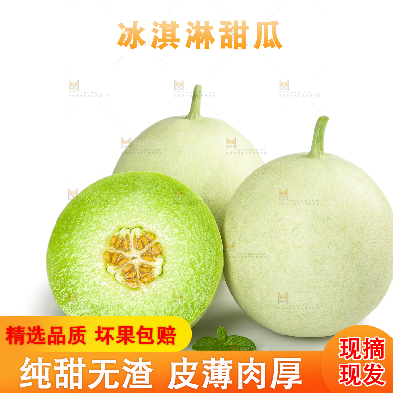 白底上的玉菇甜瓜