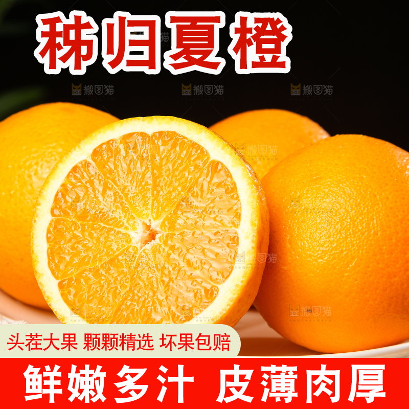 木底上的秭归夏橙
