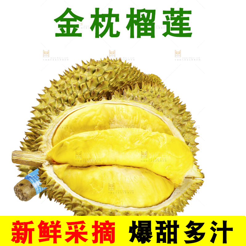 白底上的金枕榴莲