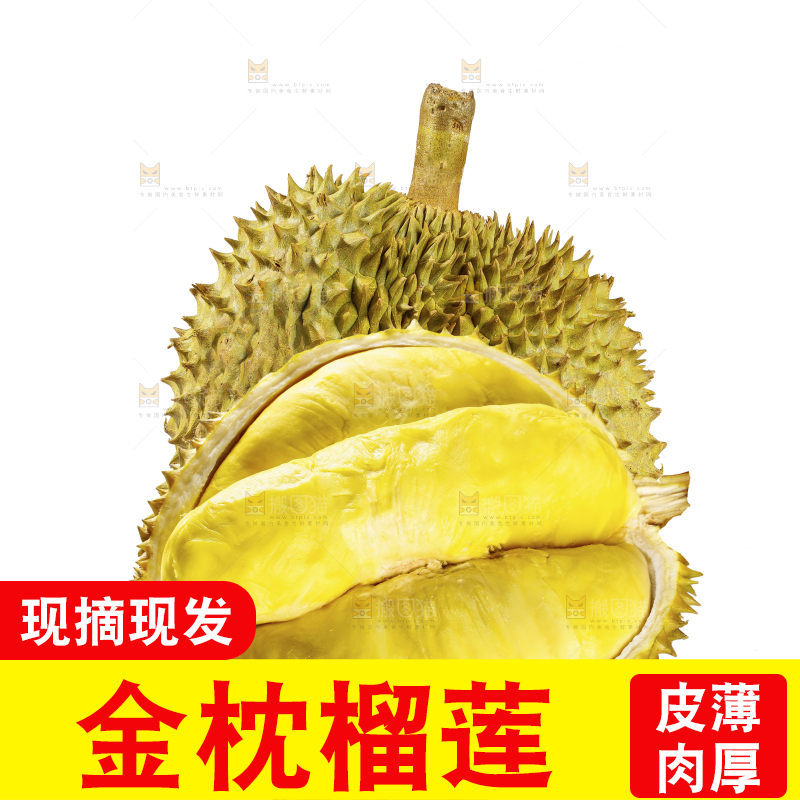 白底上的金枕榴莲
