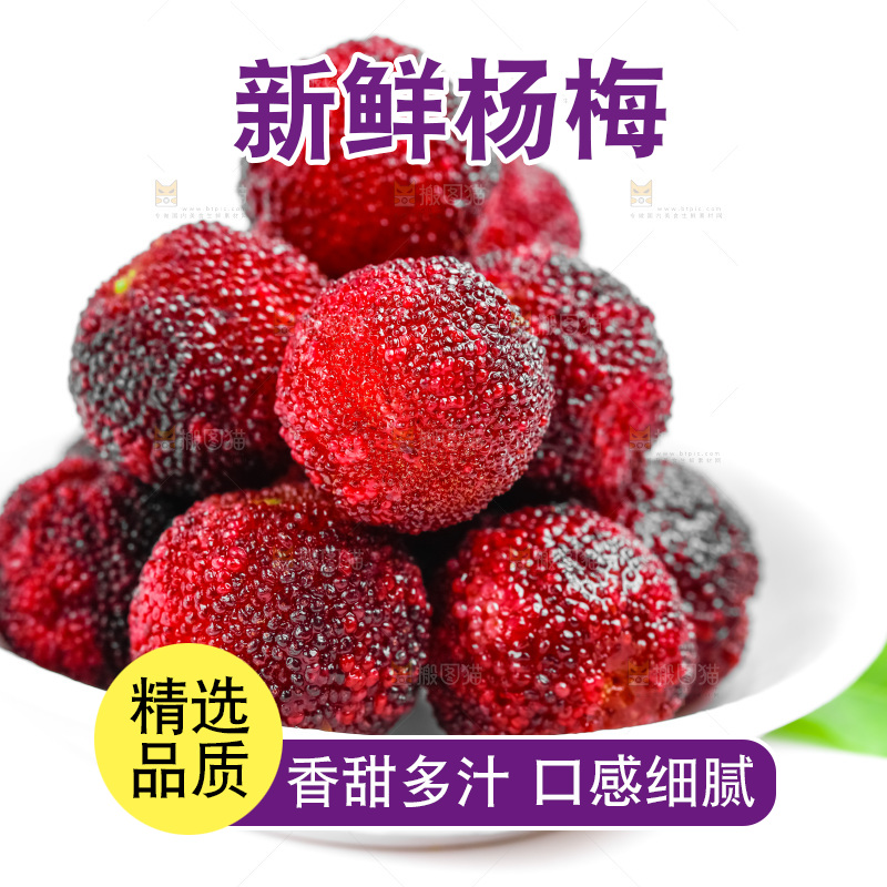 白底上的仙居杨梅
