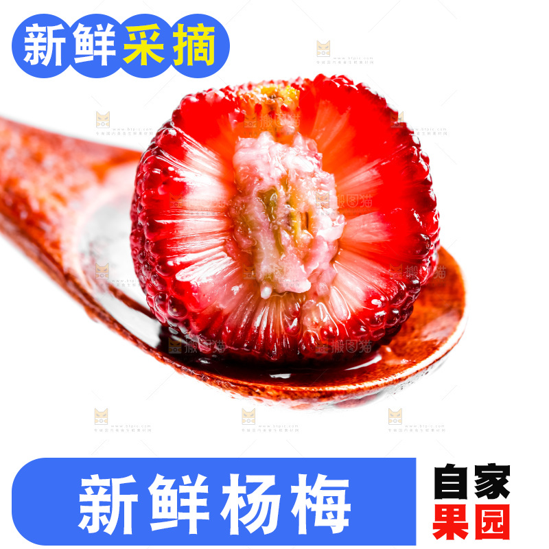 白底上的仙居杨梅