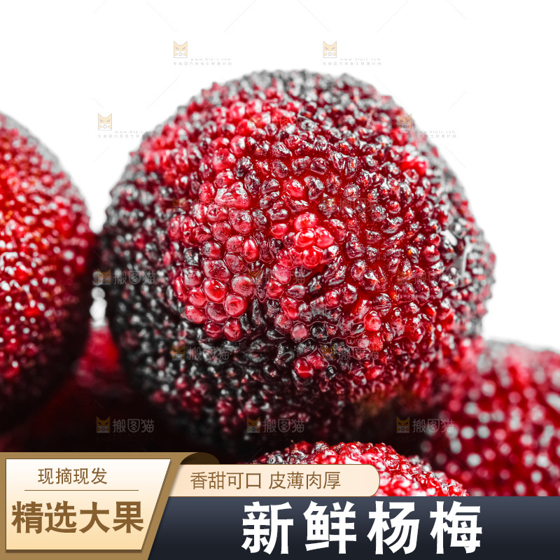 白底上的仙居杨梅