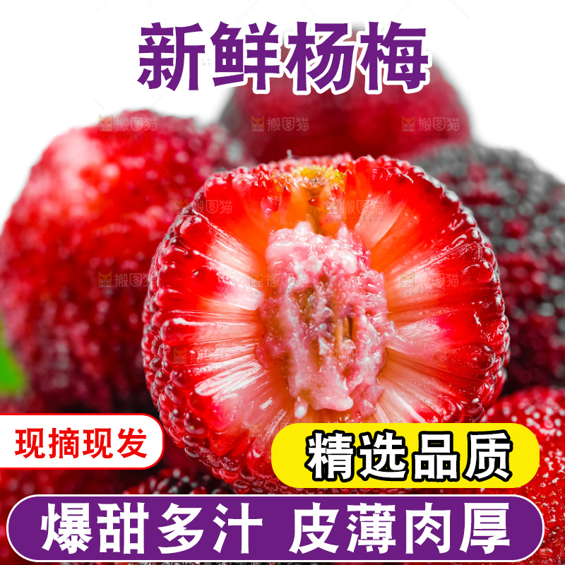 白底上的仙居杨梅