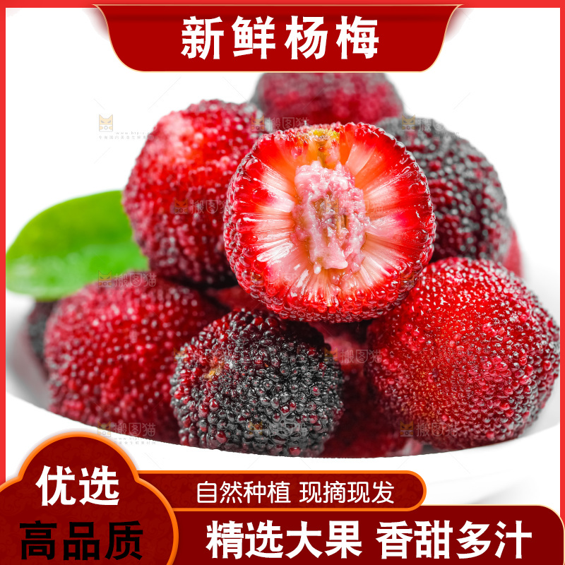 白底上的仙居杨梅