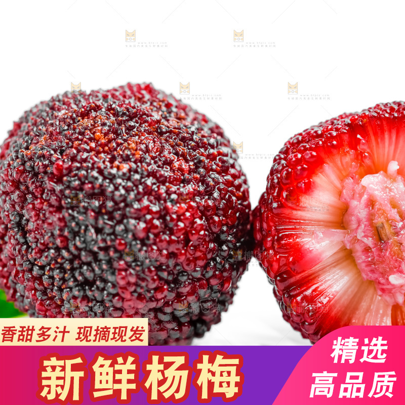 白底上的仙居杨梅