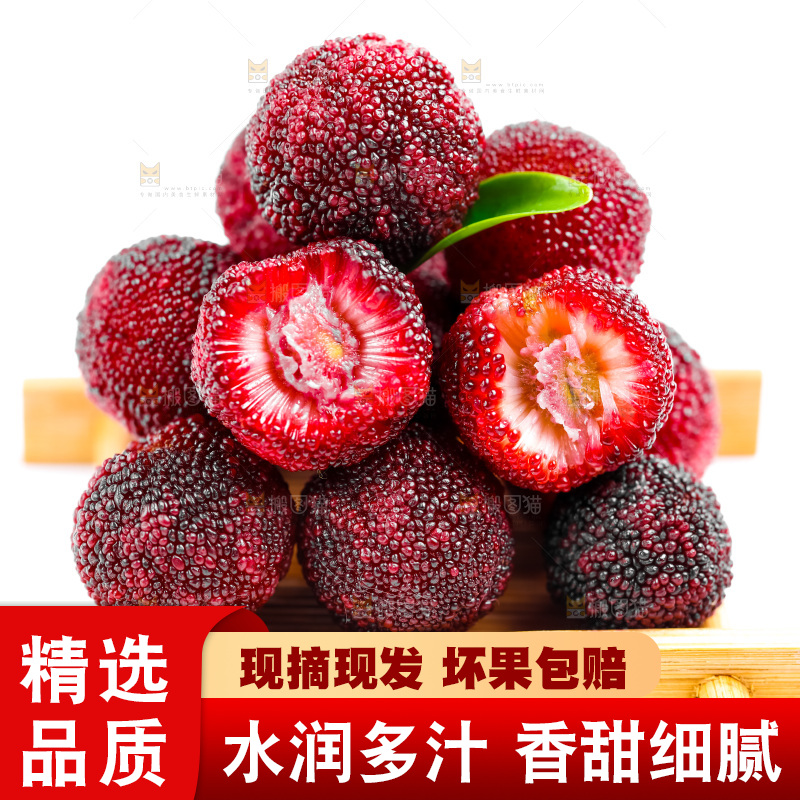 白底上的大杨梅