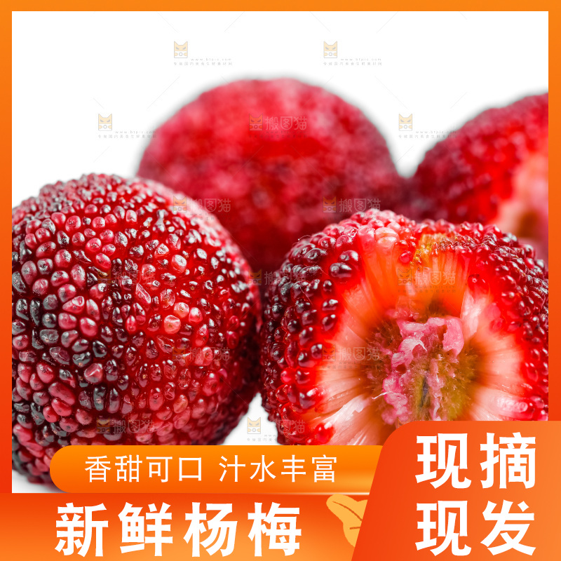 白底上的大杨梅