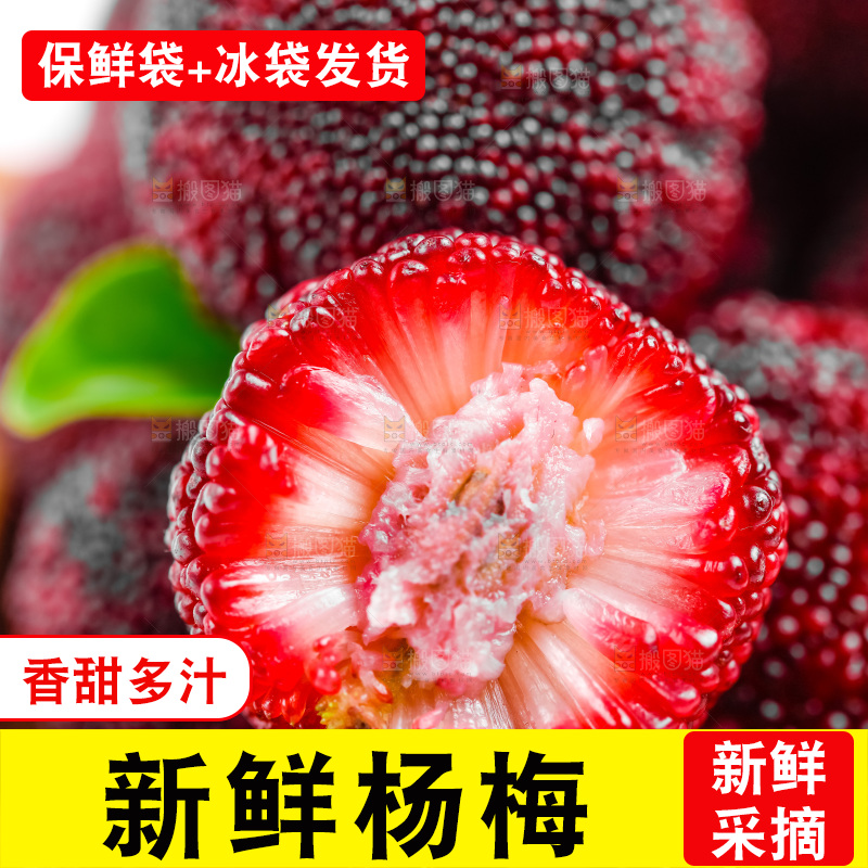 白底上的鲜杨梅