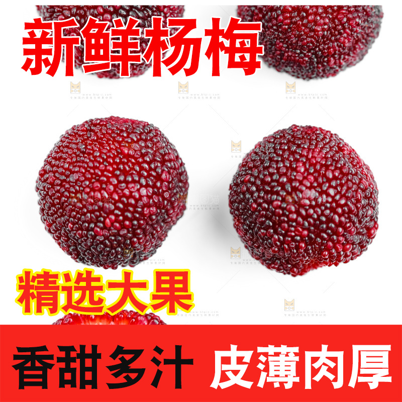 白底上的新鲜杨梅