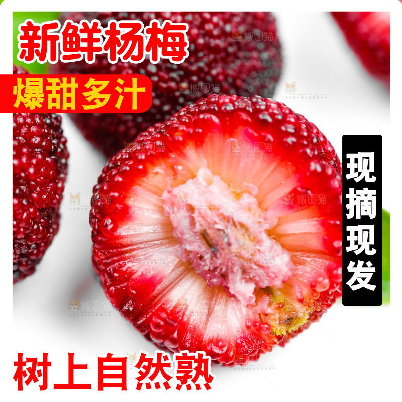 白底上的新鲜杨梅