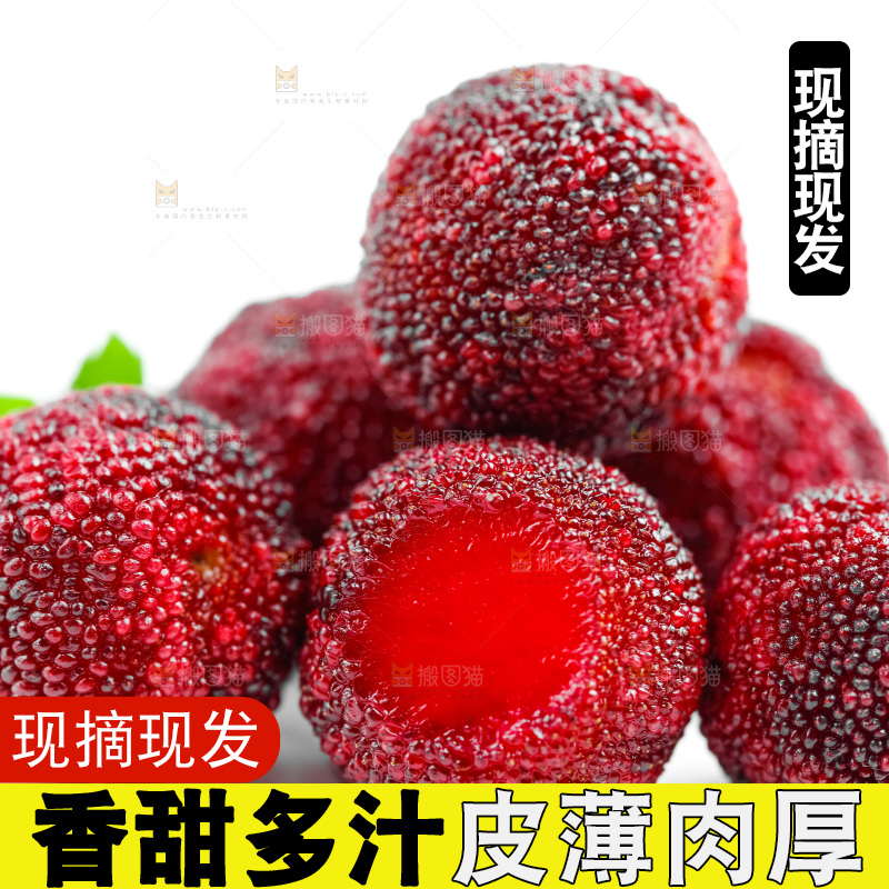 白底上的鲜杨梅