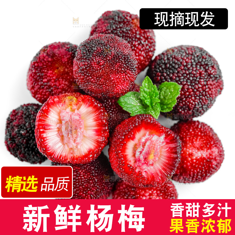 白底上的大杨梅