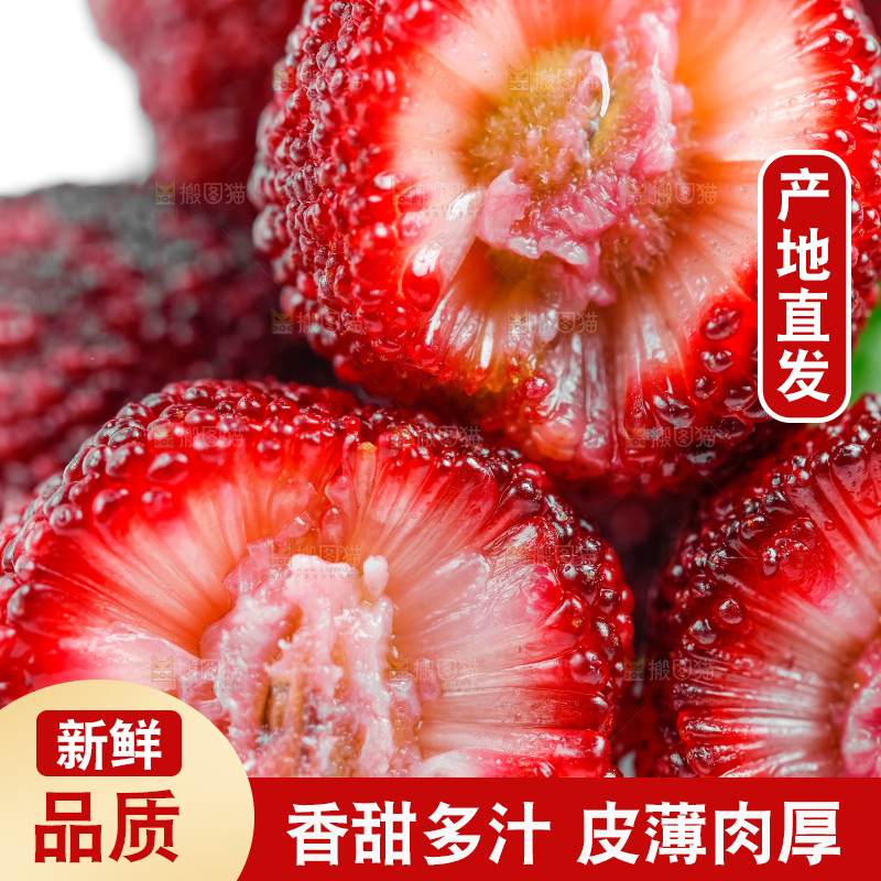 白底上的新鲜杨梅