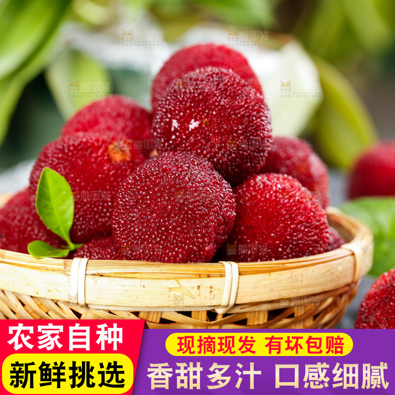 深底上的仙居杨梅