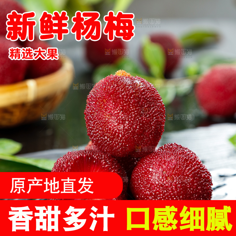 深底上的仙居杨梅