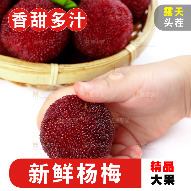 白底上的新鲜杨梅