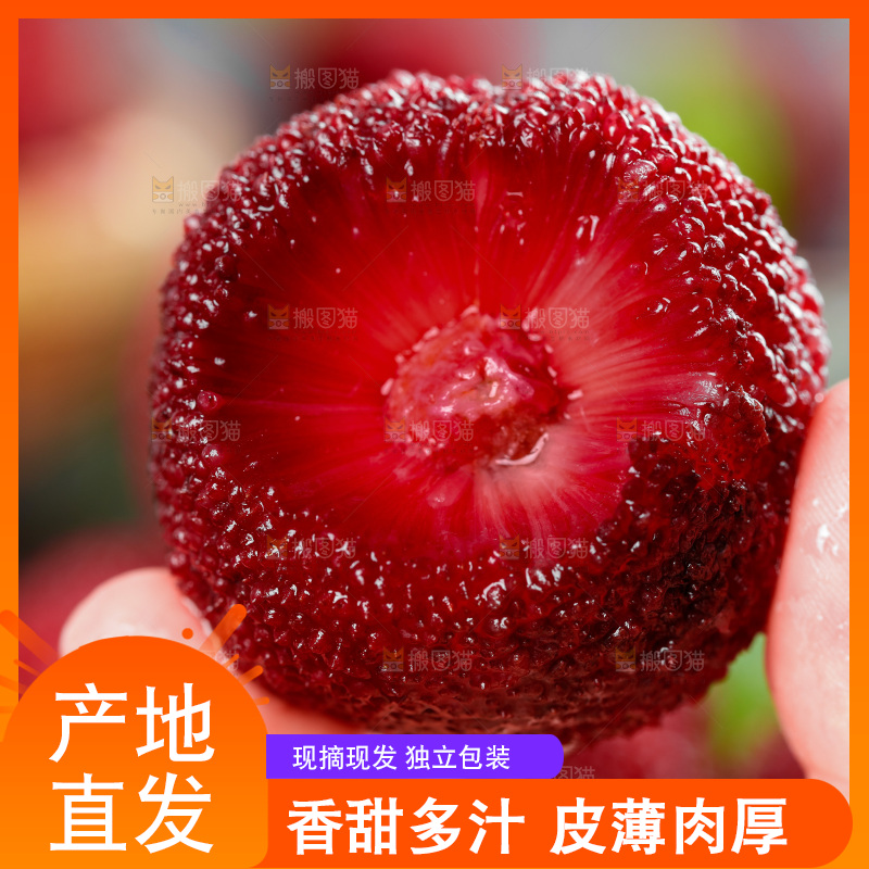 深底上的东魁杨梅