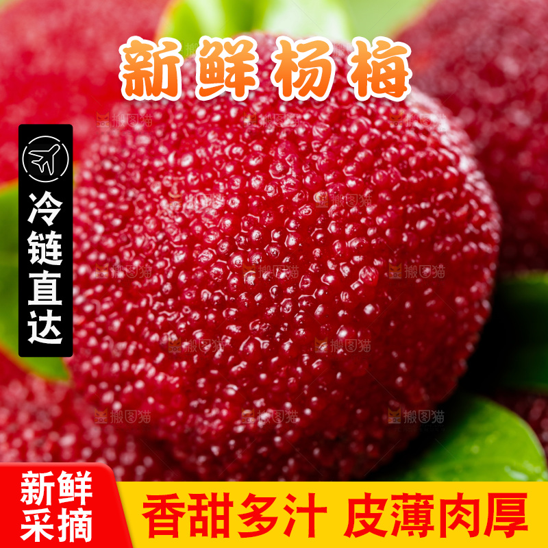 深底上的仙居杨梅