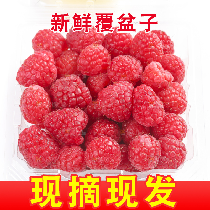 白底上的新鲜覆盆子