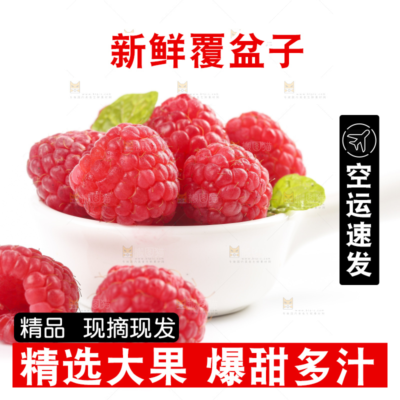 白底上的新鲜覆盆子