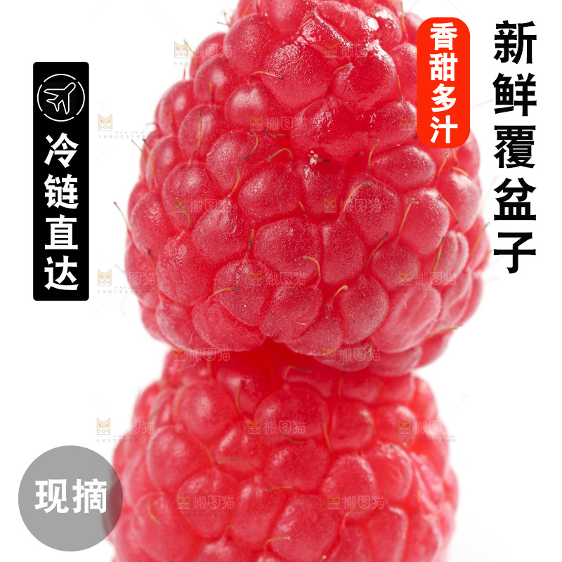 白底上的新鲜覆盆子
