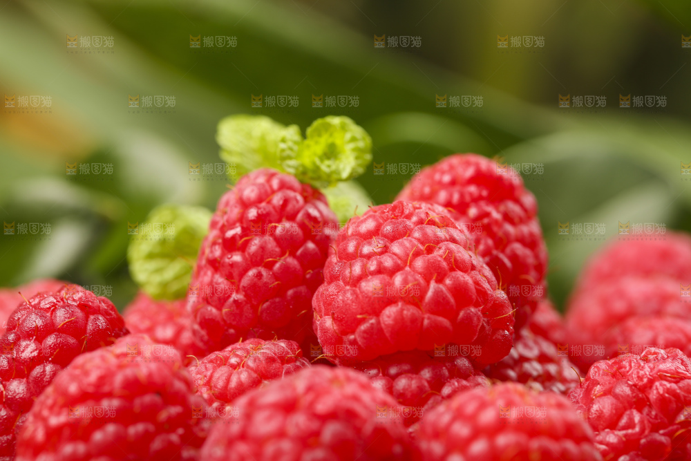 深底上的新鲜覆盆子