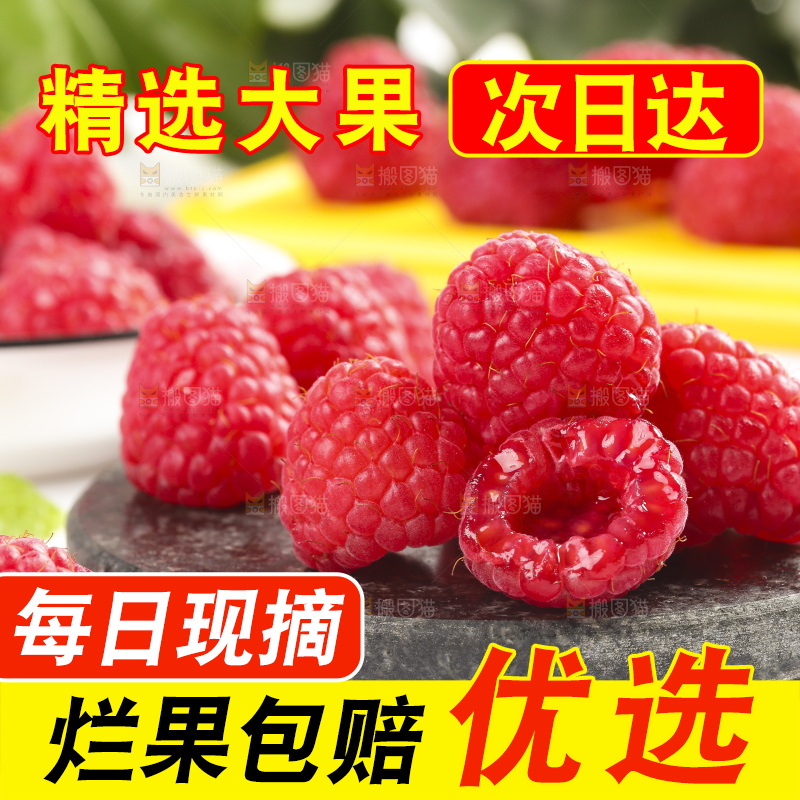 浅底上的新鲜覆盆子