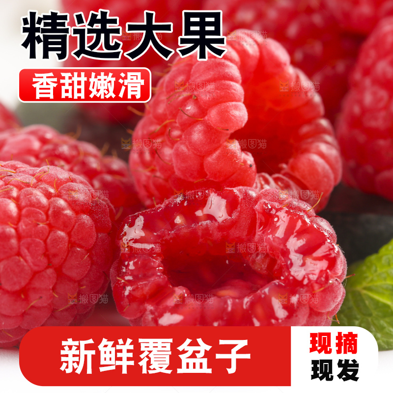 浅底上的新鲜覆盆子