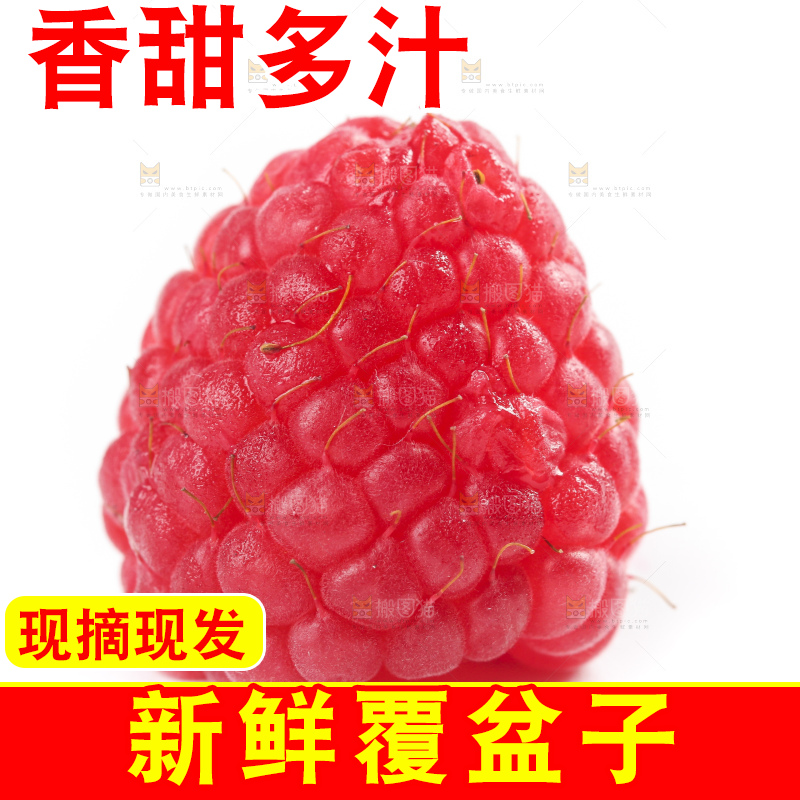 白底上的新鲜覆盆子