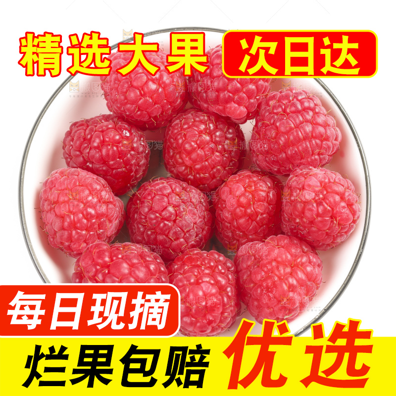 白底上的新鲜覆盆子