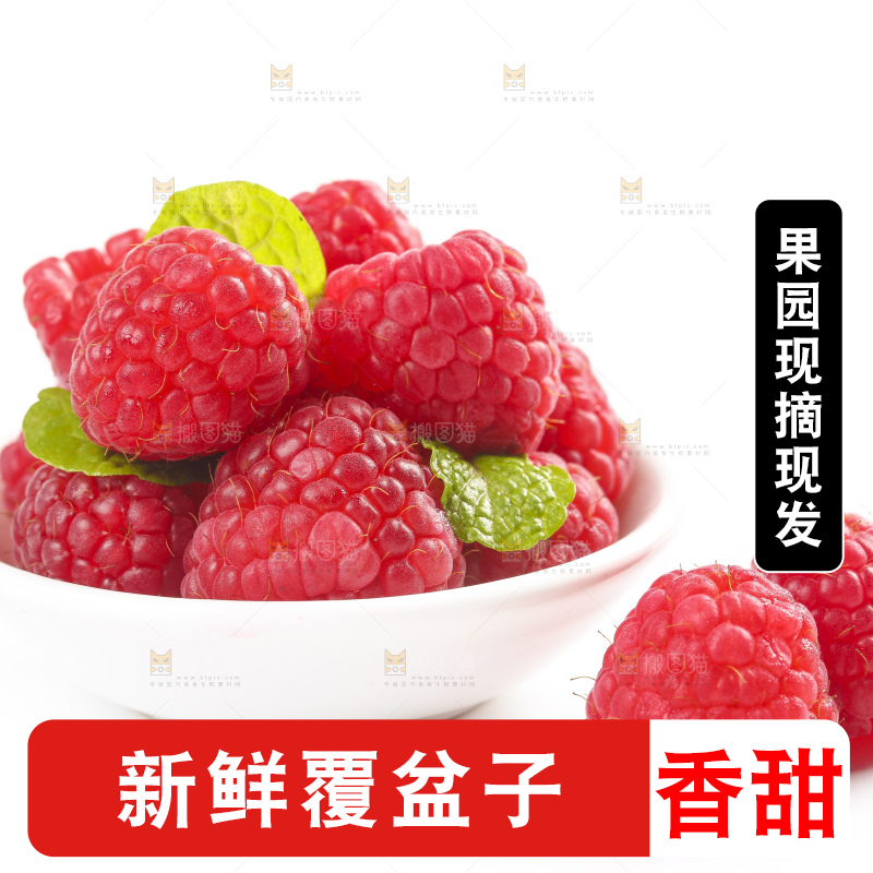 白底上的新鲜覆盆子