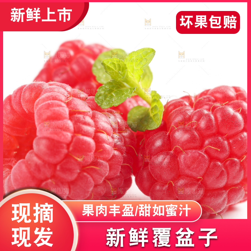 白底上的新鲜覆盆子