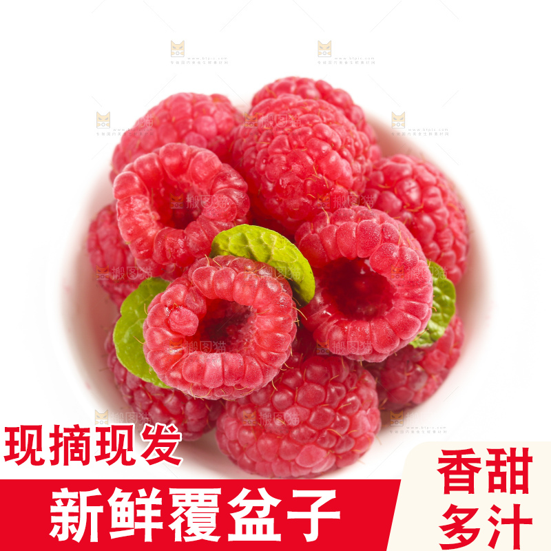 白底上的新鲜覆盆子