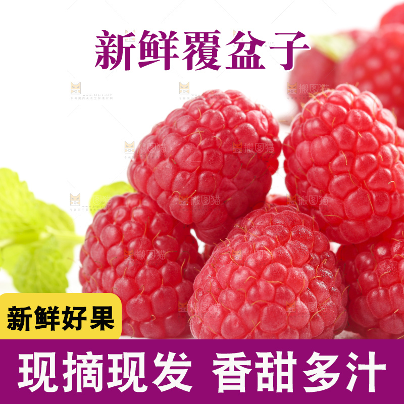 白底上的新鲜覆盆子