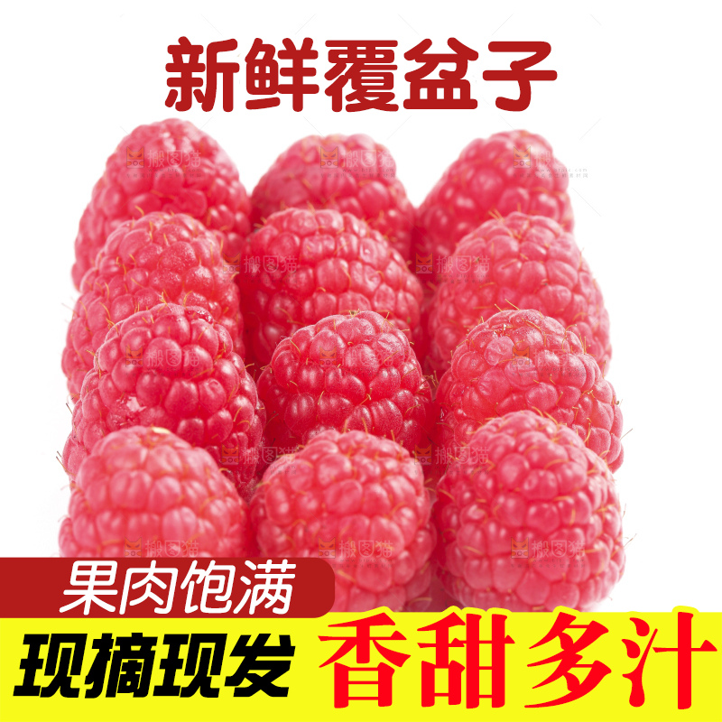 白底上的新鲜覆盆子